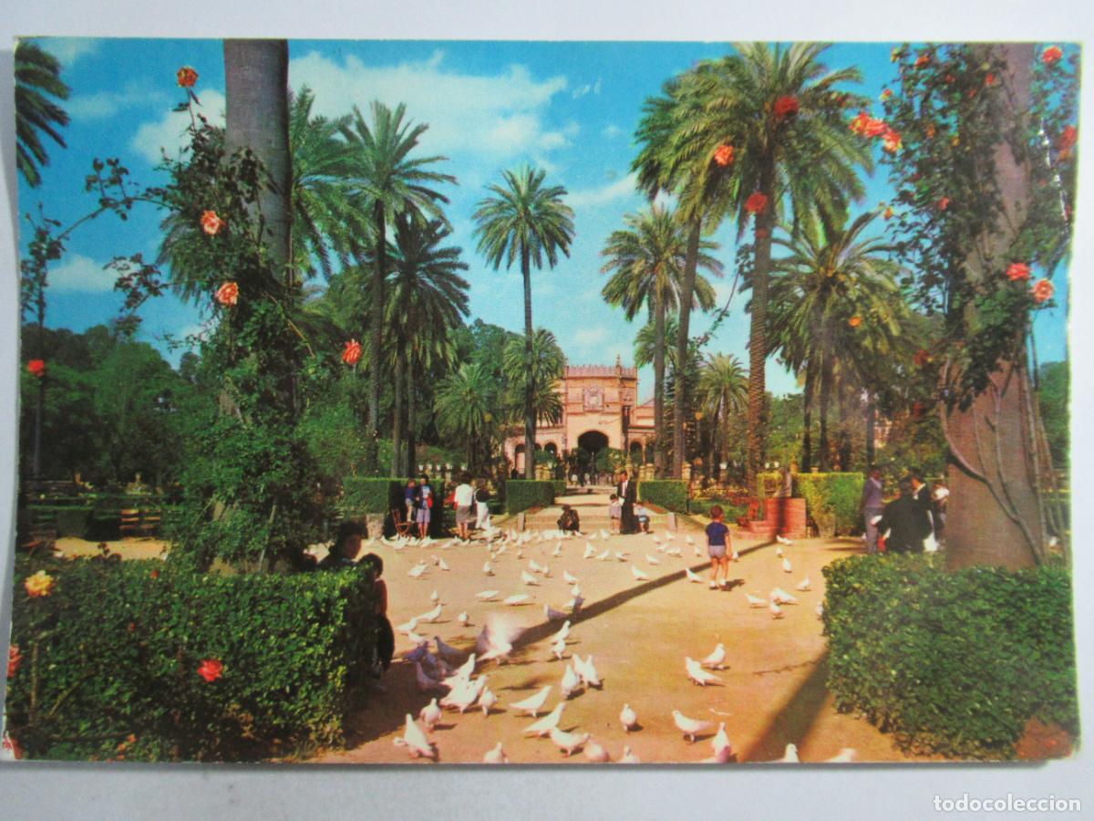 Postales: Sevilla - Parque de Mar&iacute;a Luisa - Circulada - Foto 1