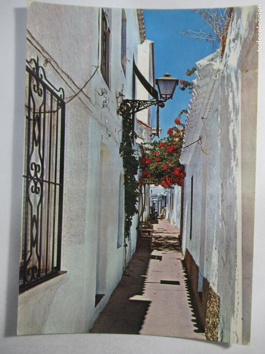 Postales: Marbella (M&aacute;laga) - Calle t&iacute;pica - S/C