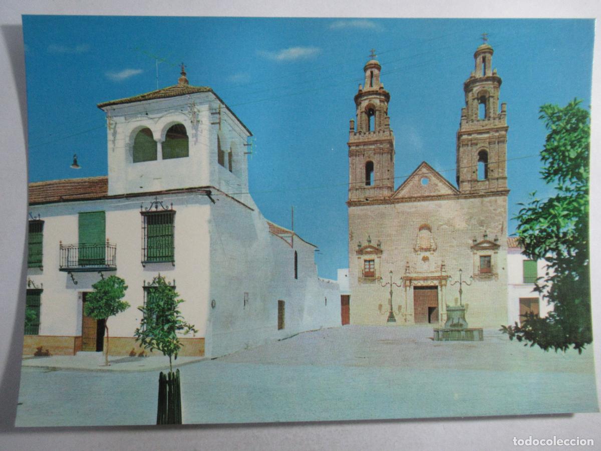 Postales: &Eacute;cija (Sevilla) - Plaza de la Concepci&oacute;n - S/C