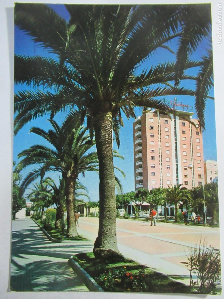 Postales: Sanl&uacute;car de Barrameda (C&aacute;diz) - Calzada del Ej&eacute;rcito y Hotel Guadalquivir - S/C