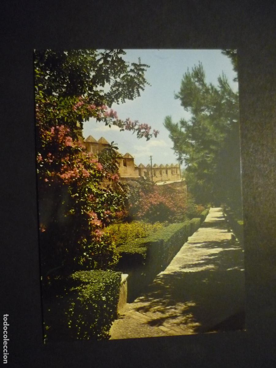 Postales: ALMERIA LA ALCAZABA POSTAL