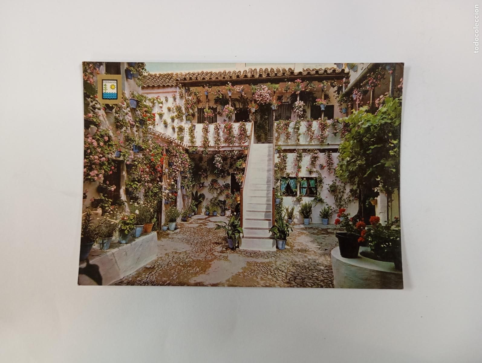 Postales: POSTAL DE COSTA DEL SOL. PATIO ANDALUZ. TDKP26Z3