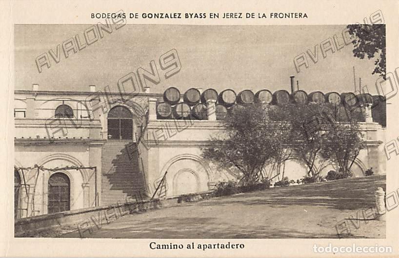 Postales: Postal de Bodegas de Gonz&aacute;lez Byass de Jerez de la Frontera (C&aacute;diz) - Sin Circular
