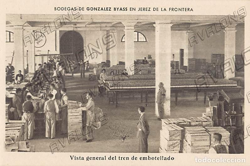 Postkarten: Postal de Bodegas de Gonz&aacute;lez Byass de Jerez de la Frontera (C&aacute;diz) - Sin Circular