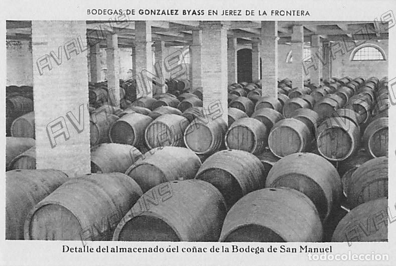 Postkarten: Postal de Bodegas de Gonz&aacute;lez Byass de Jerez de la Frontera (C&aacute;diz) - Sin Circular