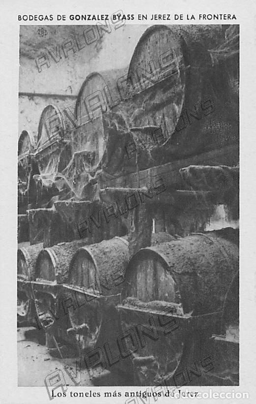 Postkarten: Postal de Bodegas de Gonz&aacute;lez Byass de Jerez de la Frontera (C&aacute;diz) - Sin Circular