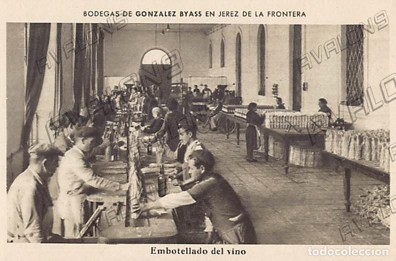Postkarten: Postal de Bodegas de Gonz&aacute;lez Byass de Jerez de la Frontera (C&aacute;diz) - Sin Circular
