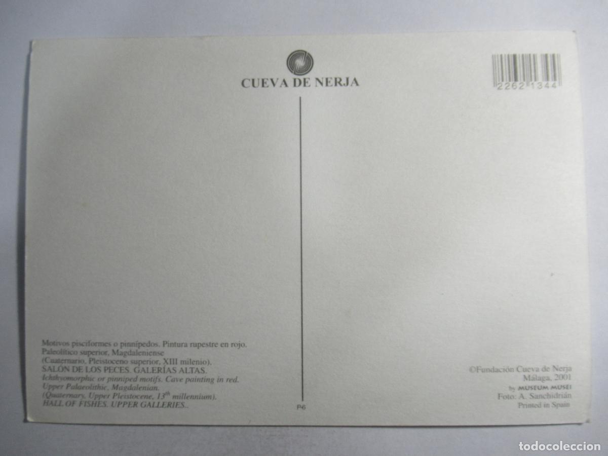 Postales: Cueva de Nerja - S/C - Foto 2