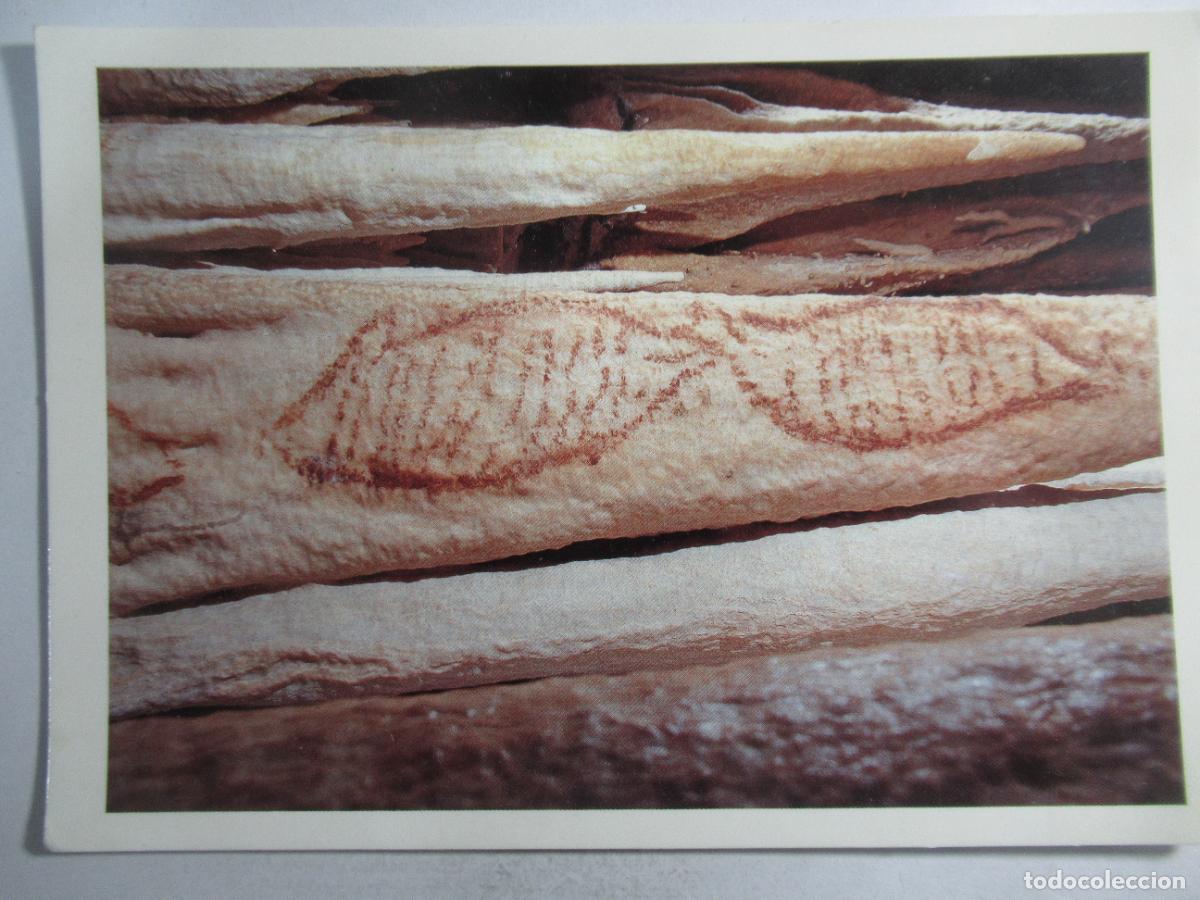 Postales: Cueva de Nerja - S/C - Foto 1