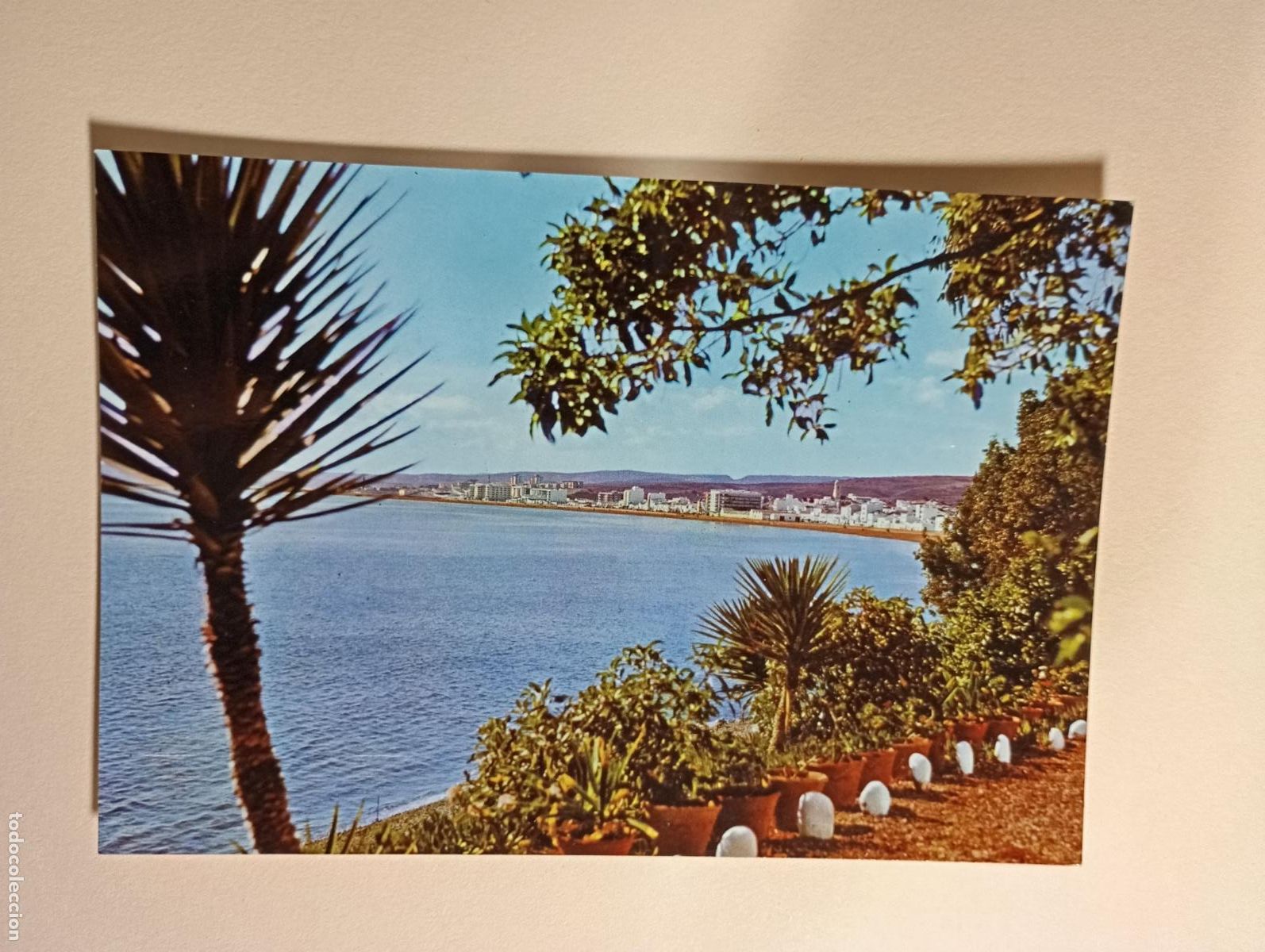 Postales: POSTAL DE ESTEPONA. M&Aacute;LAGA. PUNTA DE LA PLATA. TDKP26Z4