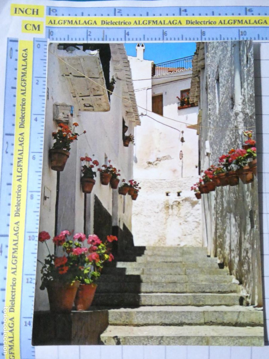 Postales: POSTAL DE M&Aacute;LAGA. A&Ntilde;O 1975. ALGARROBO RINC&Oacute;N T&Iacute;PICO 7 ARRIBAS. 2917