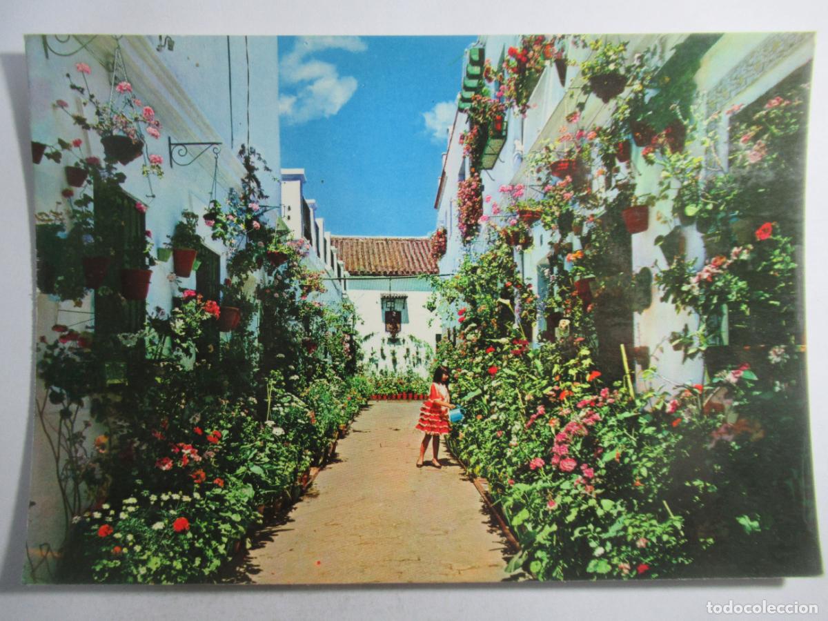 Postales: Sevilla - Patio t&iacute;pico de Triana - S/C