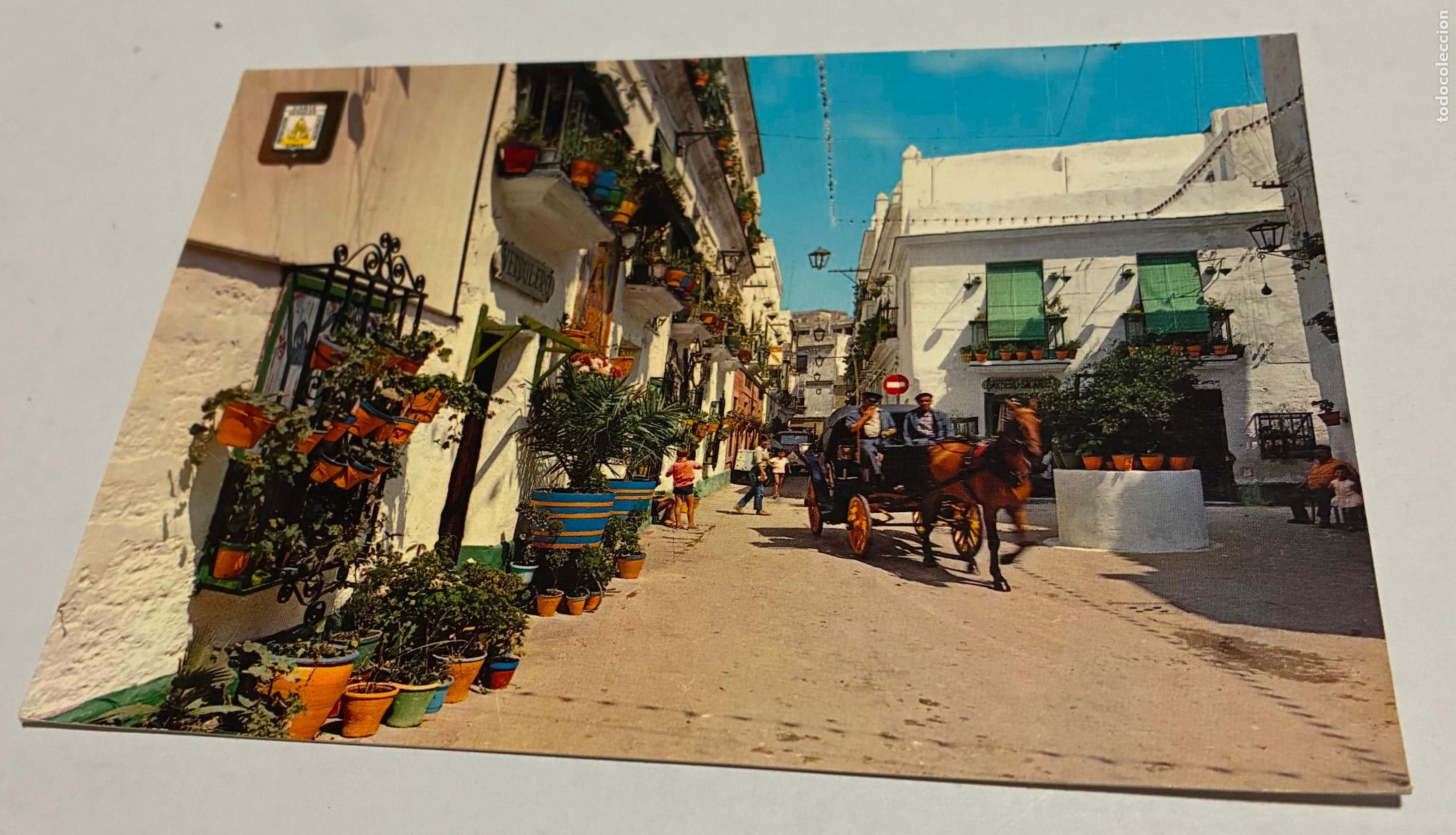 Postales: POSTAL CADIZ, PLAZUELA DEL TIO DE LA TIZA