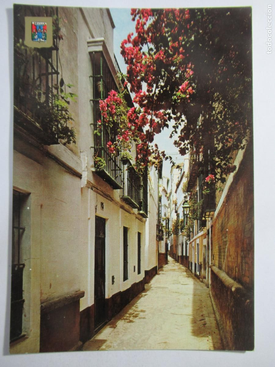 Postales: Sevilla - Calle de la Pimienta - S/C