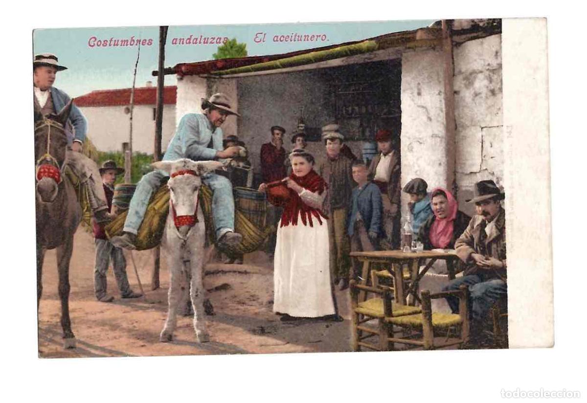 Postales: TARJETA POSTAL COSTUMBRES ANDALUZAS EL ACEITUNERO. PURGER 3178