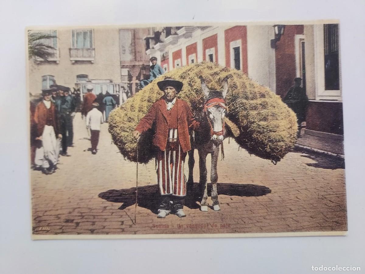 Postales: POSTAL SEVILLA TIPOS POPULARES UN VENDEDOR DE PAJA. REPRODUCCION MODERNA COMISARIA CIUDAD 1992