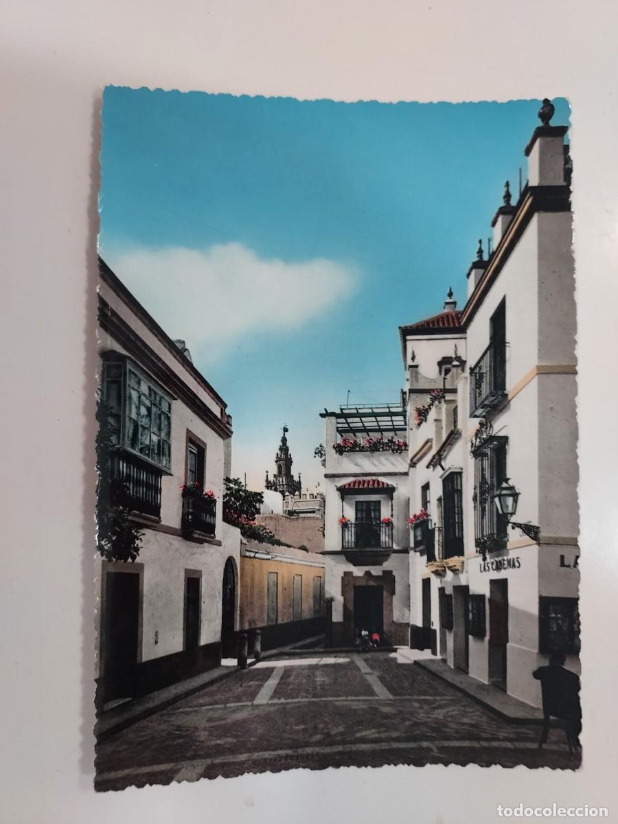 Postales: POSTAL SEVILLA LAS CADENAS BARRIO DE SANTA CRUZ. A&Ntilde;OS 1950. SIN CIRCULAR