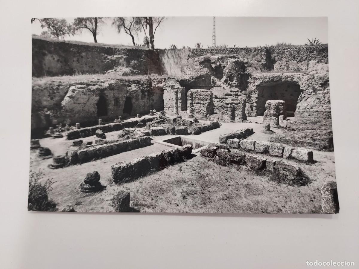 Postales: POSTAL CARMONA MUSEO NECROPOLIS EXTERIOR TUMBA DE SERVILIA. A&Ntilde;OS 1950. SIN CIRCULAR. SEVILLA