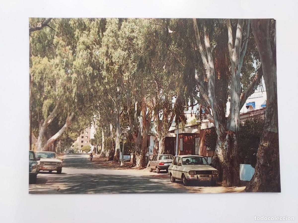 Postales: POSTAL ISLA CRISTINA CARRETERA PLAYA. 1986. SIN CIRCULAR. HUELVA