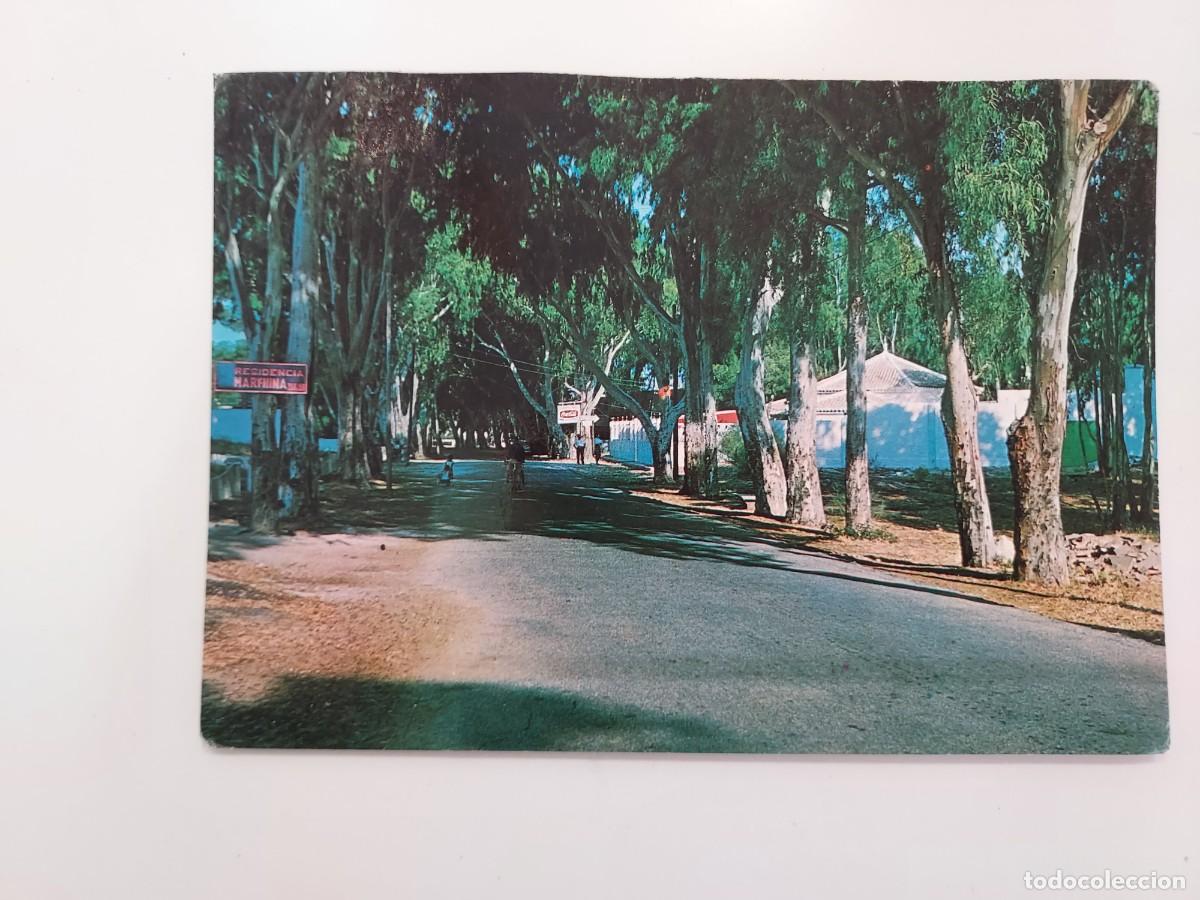 Postales: POSTAL ISLA CRISTINA CARRETERA DE LA PLAYA. 1969. SIN CIRCULAR. HUELVA