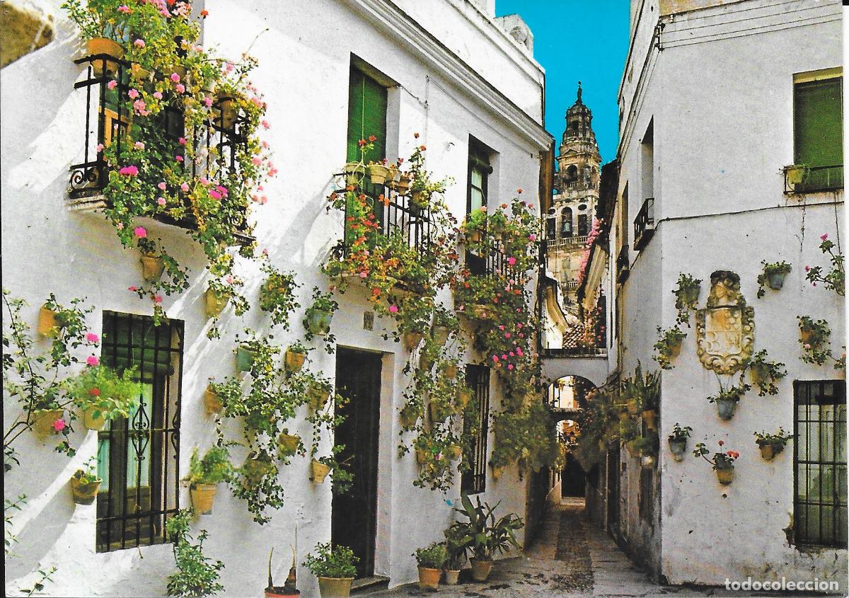 Postales: [POSTAL] Calleja de las Flores. C&oacute;rdoba (circulada)