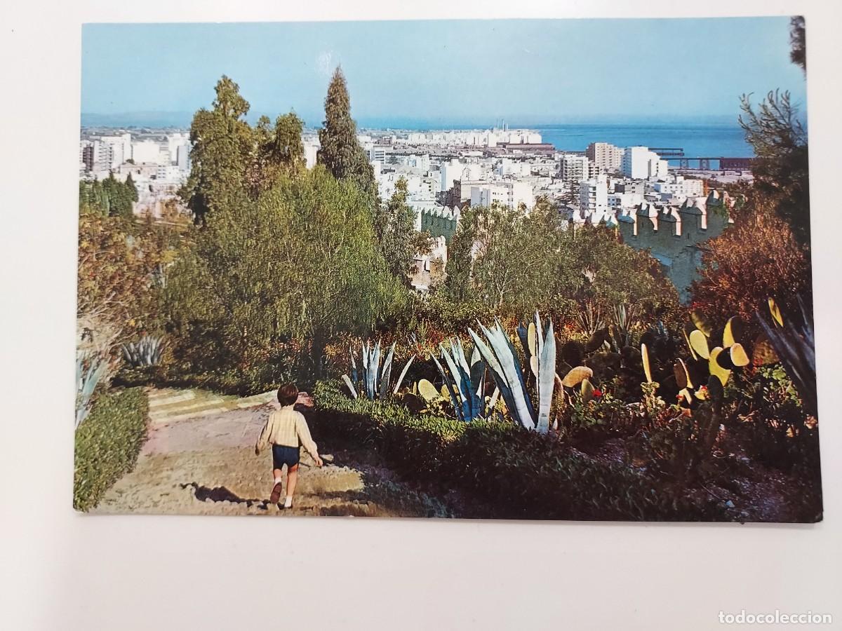 Postales: POSTAL ALMERIA PANORAMICA DESDE LOS JARDINES DE LA ALCAZABA. 1969. SIN CIRCULAR. ORTAMA