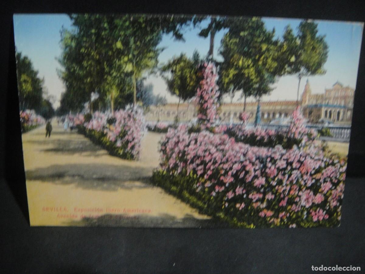 Postales: sevilla , avenida de isabel la catolica - edit, c. r. s. - sin circular