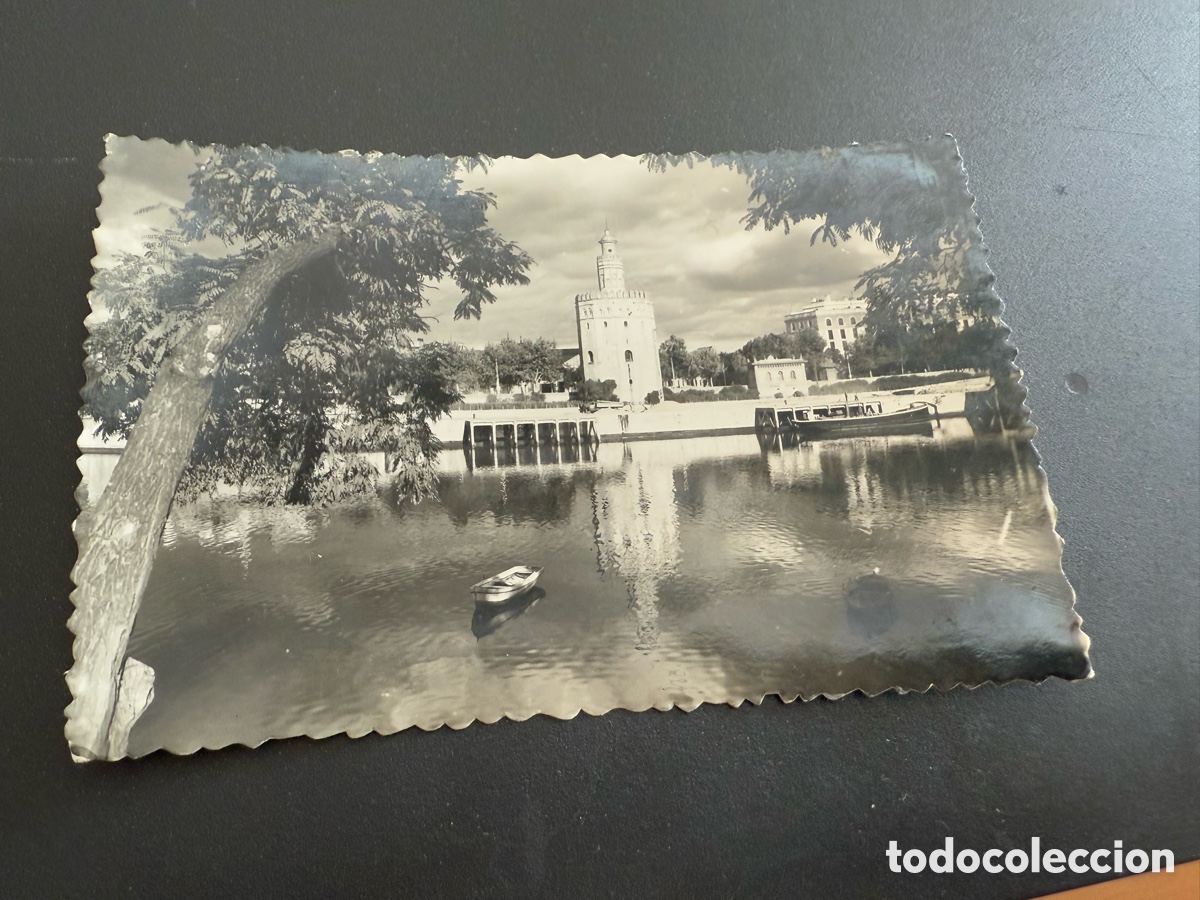 Postales: Postal. SEVILLA. 26. TORRE DEL ORO. Ed SICILIA