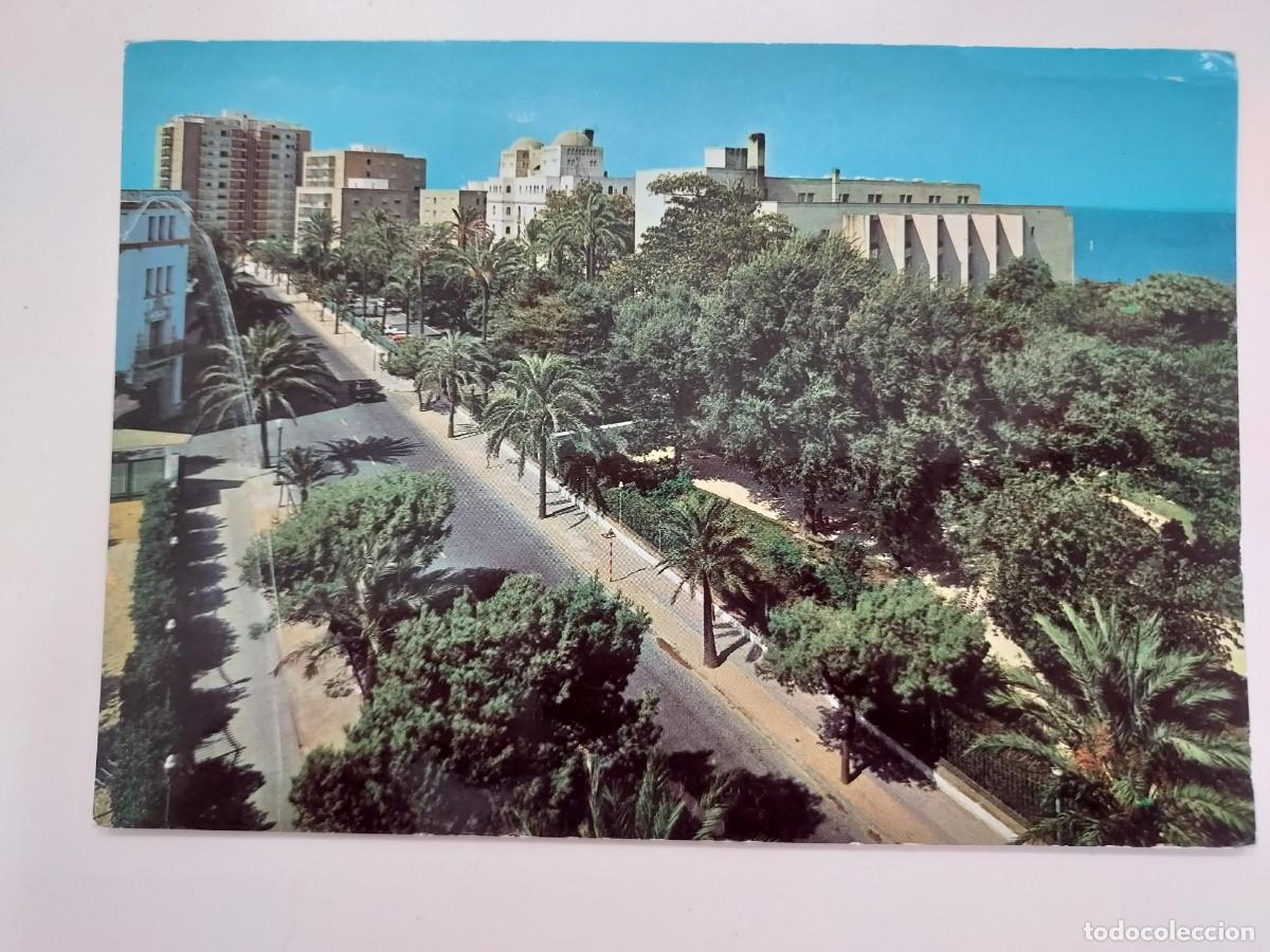 Postales: POSTAL CADIZ PARQUE GENOVES. 1971. SIN CIRCULAR. SICILIA 77