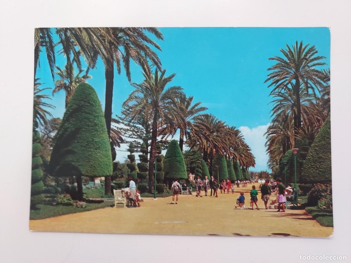 Postales: POSTAL CADIZ PARQUE GENOVES PASEO CENTRAL. 1963. SIN CIRCULAR. PAPELERIA ALFA