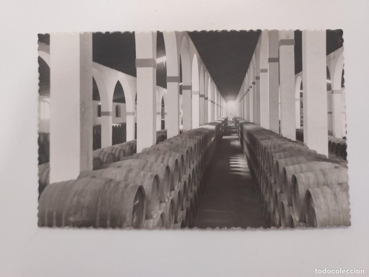 Postales: POSTAL JEREZ DE LA FRONTERA BODEGA SAN PATRICIO GARVEY NAVE CENTRAL. A&Ntilde;OS 1950. SIN CIRCULAR. CADIZ