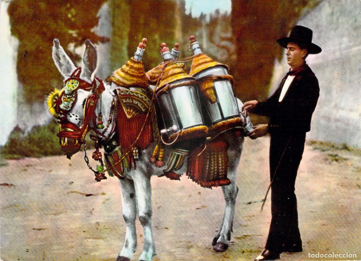Postales: Postal de Andaluc&iacute;a con Aguador T&iacute;pico y Burro