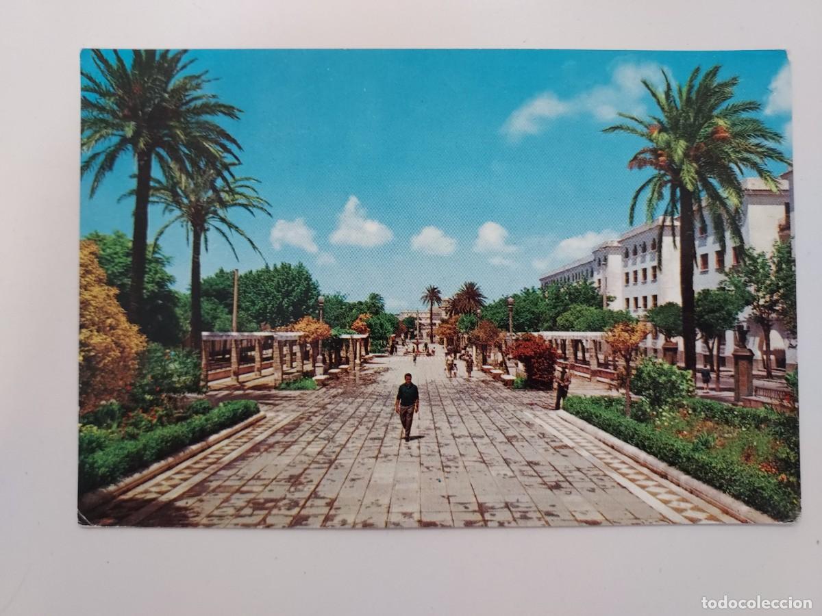 Postales: POSTAL SAN FERNANDO PLAZA DEL GENERAL LOBO. 1961. CIRCULADA. CADIZ. MATASELLOS SAN FERNANDO