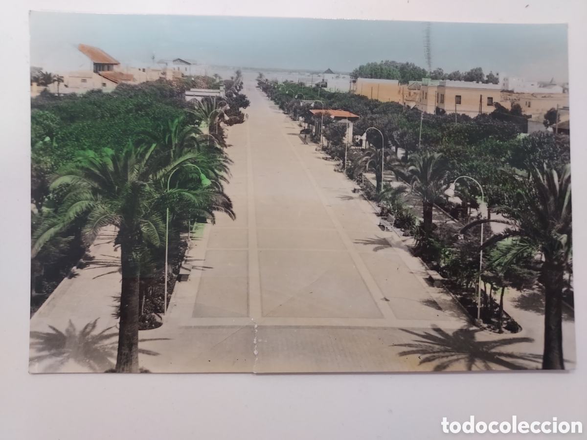 Postales: POSTAL SANLUCAR DE BARRAMEDA PASEO DE LA CALZADA. ESCRITA 1964. CADIZ. ARRIBAS 53. COLOREADA