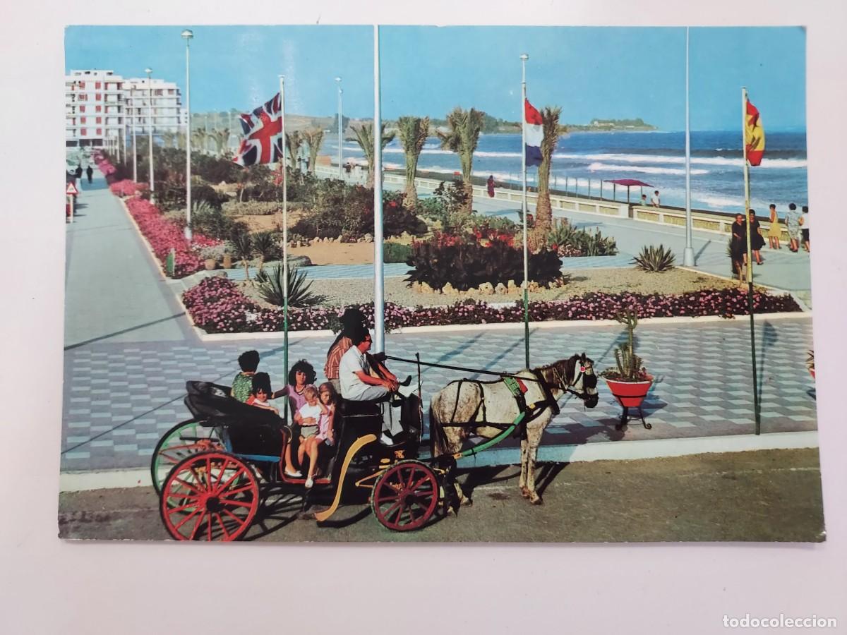 Postales: POSTAL ESTEPONA DETALLE DEL PASEO MARITIMO. 1967. SIN CIRCULAR. MALAGA. COCHE CABALLO