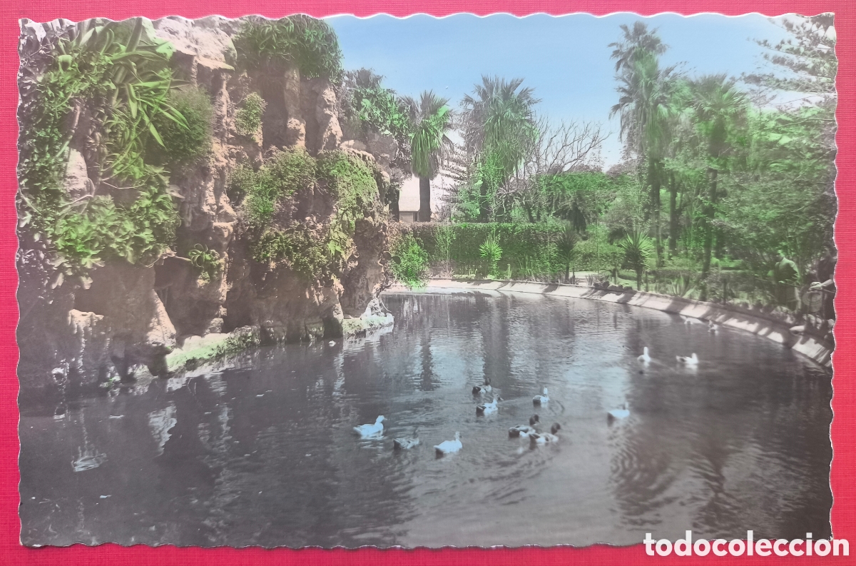 Postales: C&Aacute;DIZ PARQUE GENOVES POSTAL FOTOGR&Aacute;FICA COLOREADA C. 1955