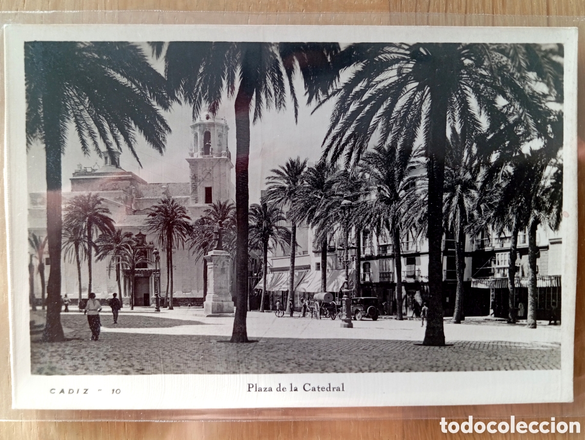 Postales: POSTAL C&Aacute;DIZ PLAZA DE LA CATEDRAL SIN EDITOR 10 FOTOGR&Aacute;FICA SIN CIRCULAR