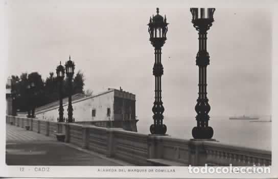 Postales: CADIZ ALAMEDA M COMILLAS SIN ESCRIBIR