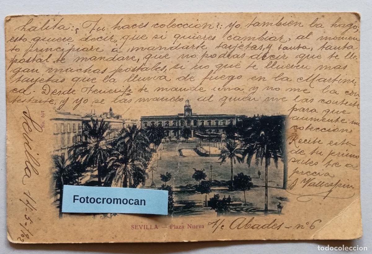 Postales: SEVILLA. PLAZA NUEVA. UNI&Oacute;N POSTAL UNIVERSAL. N&ordm;507. SIN DIVIDIR