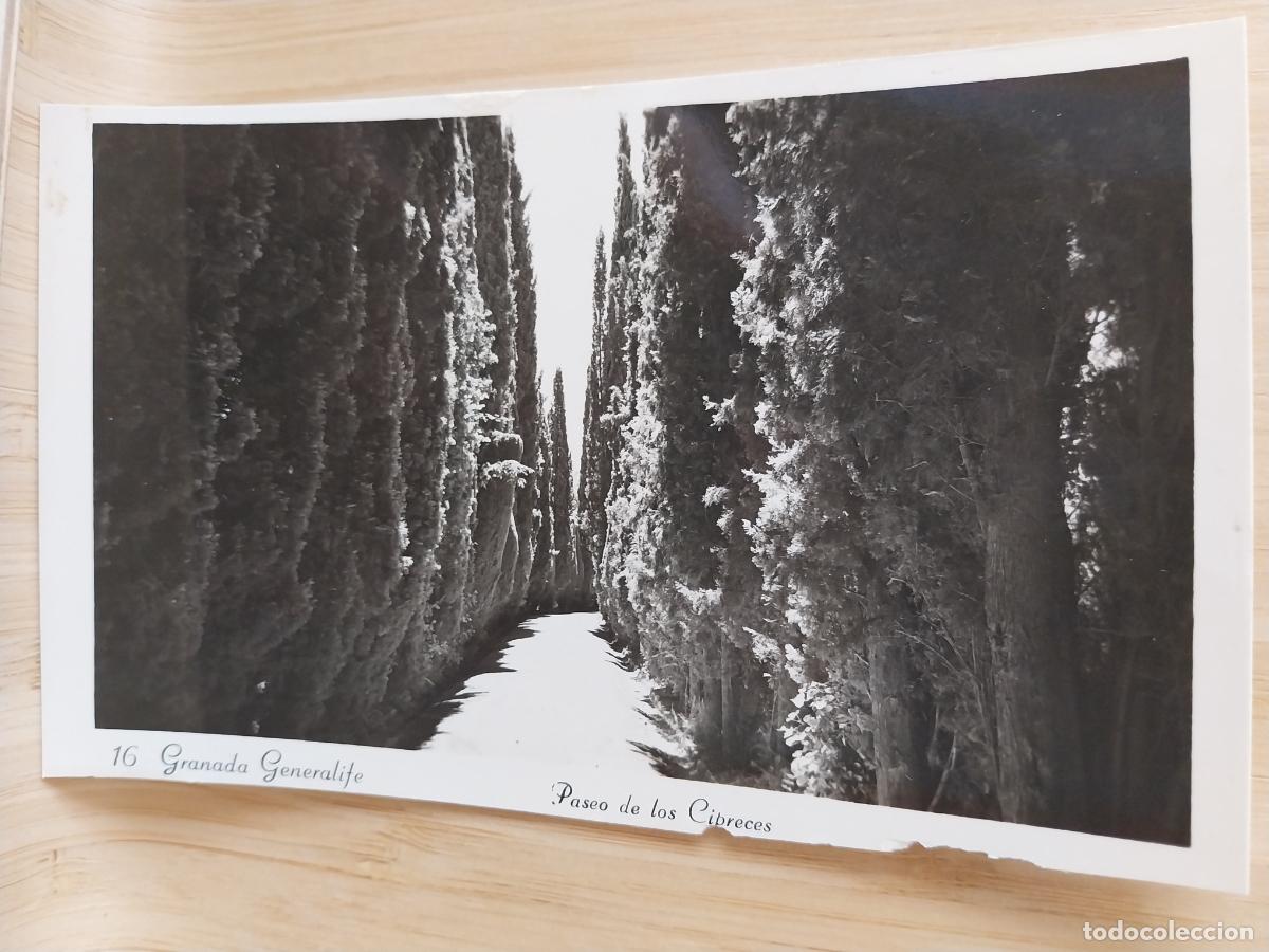 Postales: GRANADA GENERALIFE PASEO CIPRESES POSTAL SC ORIGINAL BN PRECIOSA