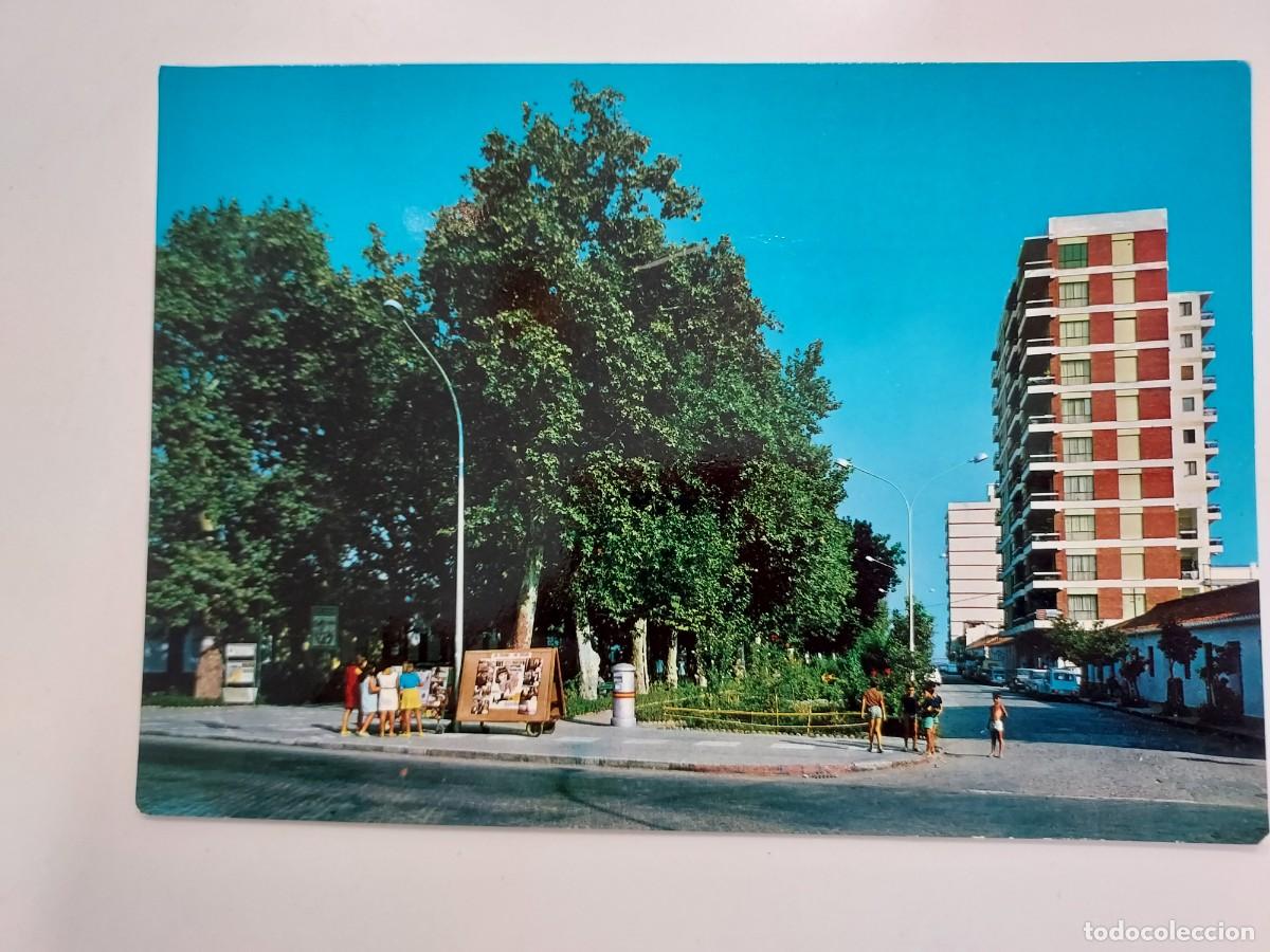 Postales: POSTAL TORRE DEL MAR VISTA PARCIAL DEL PASEO. 1969. ESCRITA. MALAGA