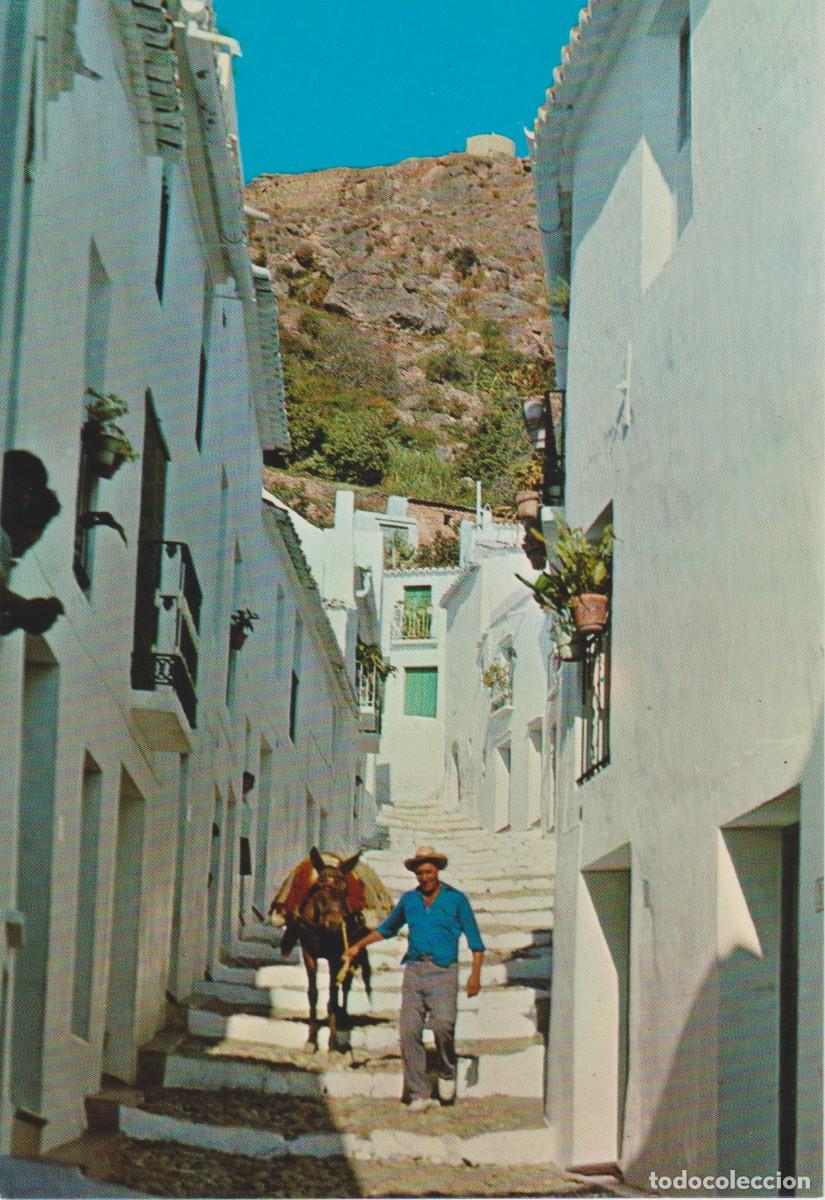 Postales: (304) FRIGILIANA. MALAGA. CALLE ZACATIN. BURRO CARGADO ... SIN CIRCULAR