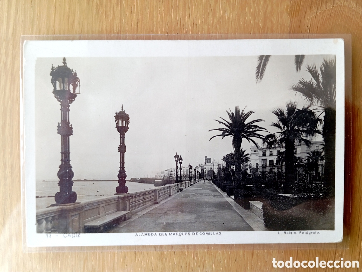 Postales: POSTAL C&Aacute;DIZ ALAMEDA MARQU&Eacute;S DE COMILLAS ROISIN 12 SIN CIRCULAR FOTOGR&Aacute;FICA