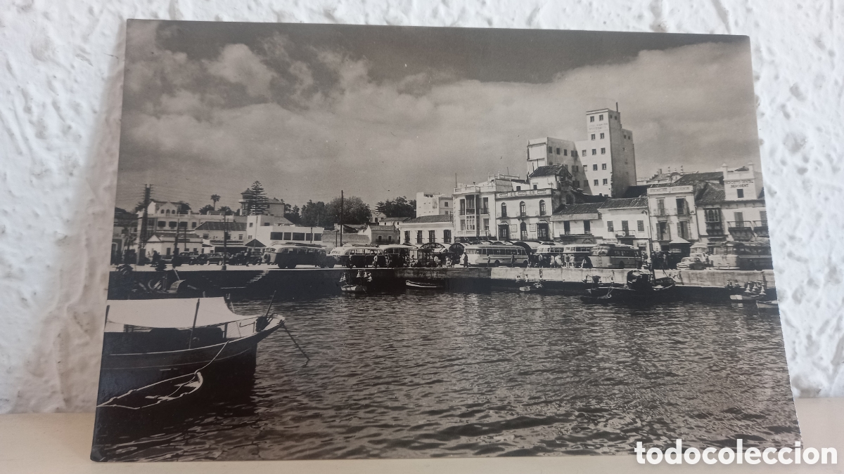 Postales: Postal ALGECIRAS. Muelle de Pescadores
