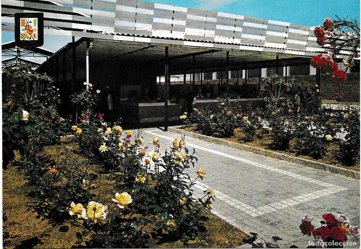 Postales: La Carolina (Ja&eacute;n) - Mercado de Abastos - Subirats Casanovas 3 - 148x103mm