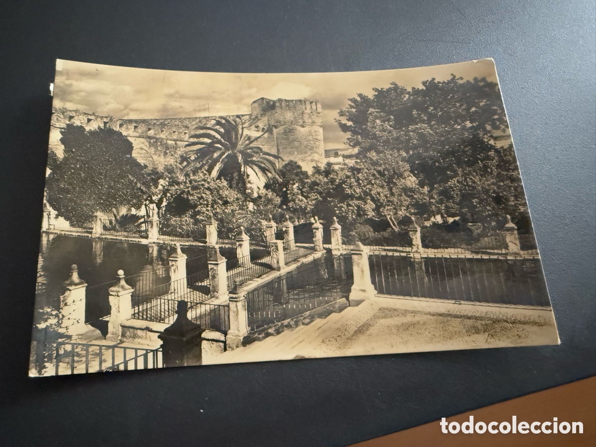 Postales: Postal. C&Oacute;RDOBA. JARDINES DEL ALCAZAR
