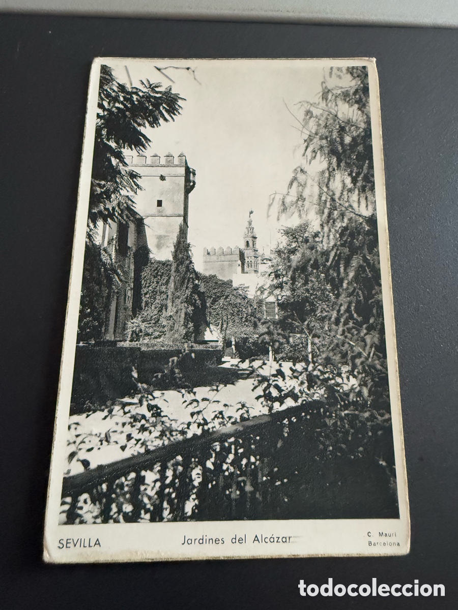 Postales: Postal. Sevilla. Jardines del Alcazar. C Mauri