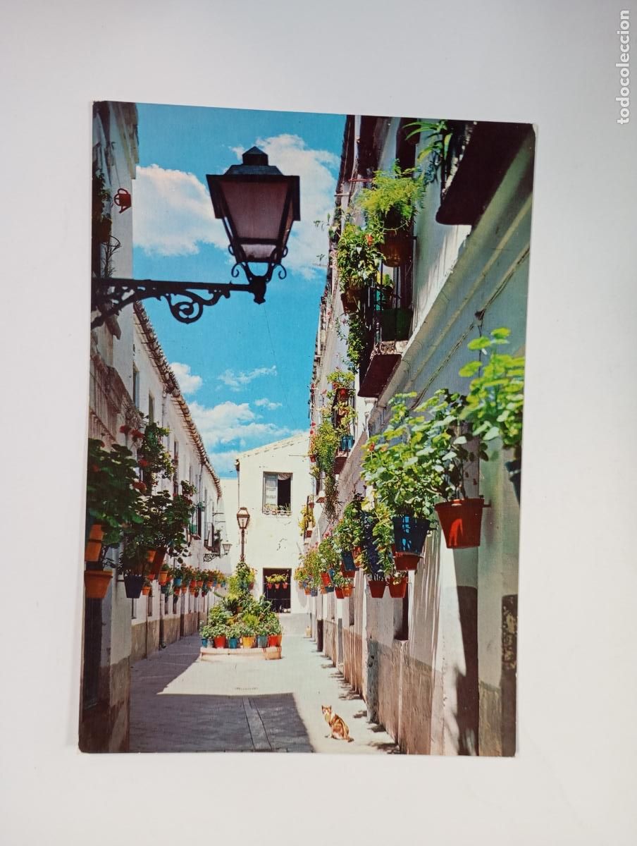 Postales: POSTAL DE M&Aacute;LAGA. PASAJE DE CLAVERO. TDKP28Z4