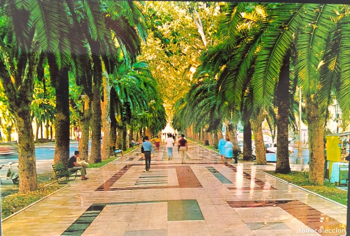 Postales: POME5 29150 ( MALAGA ) ( a&ntilde;o 1969 )