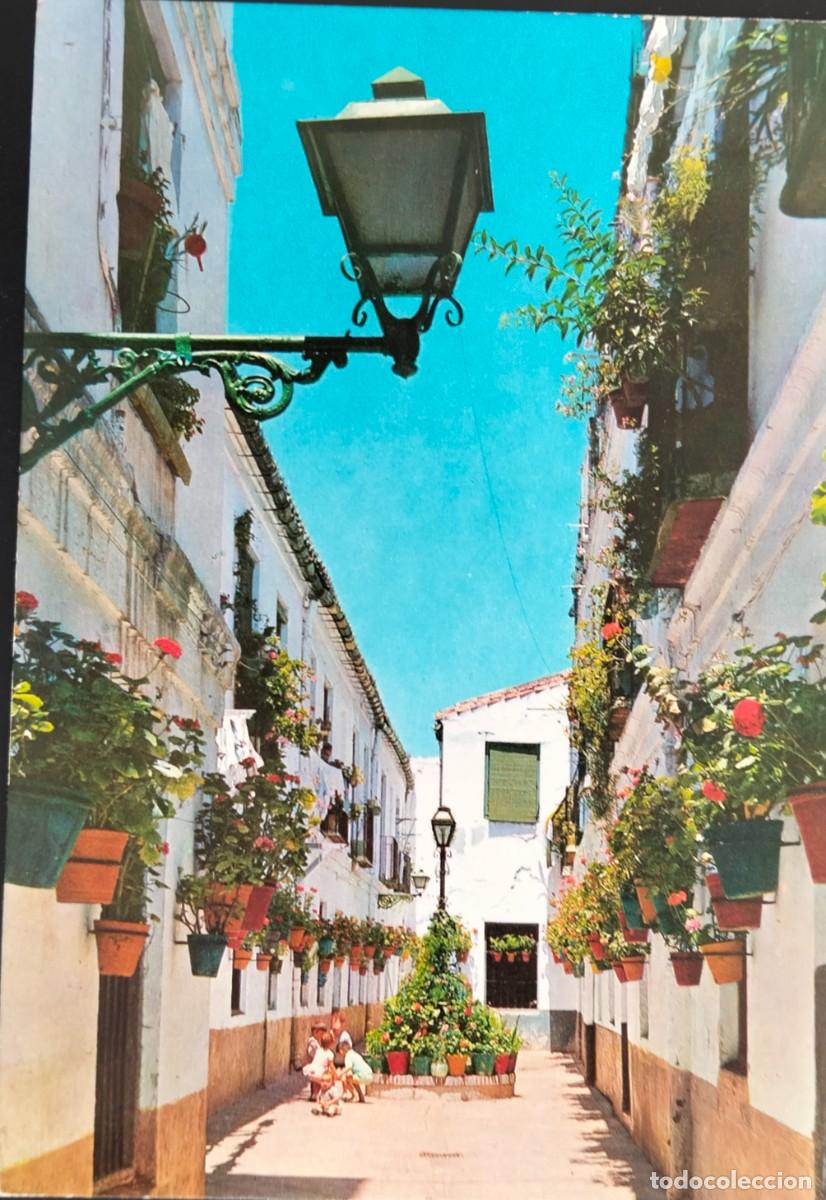 Postales: POME5 29153 ( MALAGA ) ( a&ntilde;o 1963 )